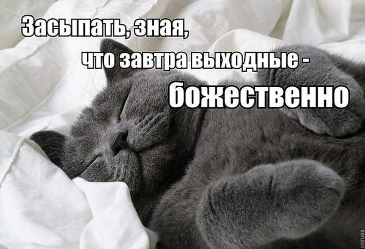 Значок не беспокоить