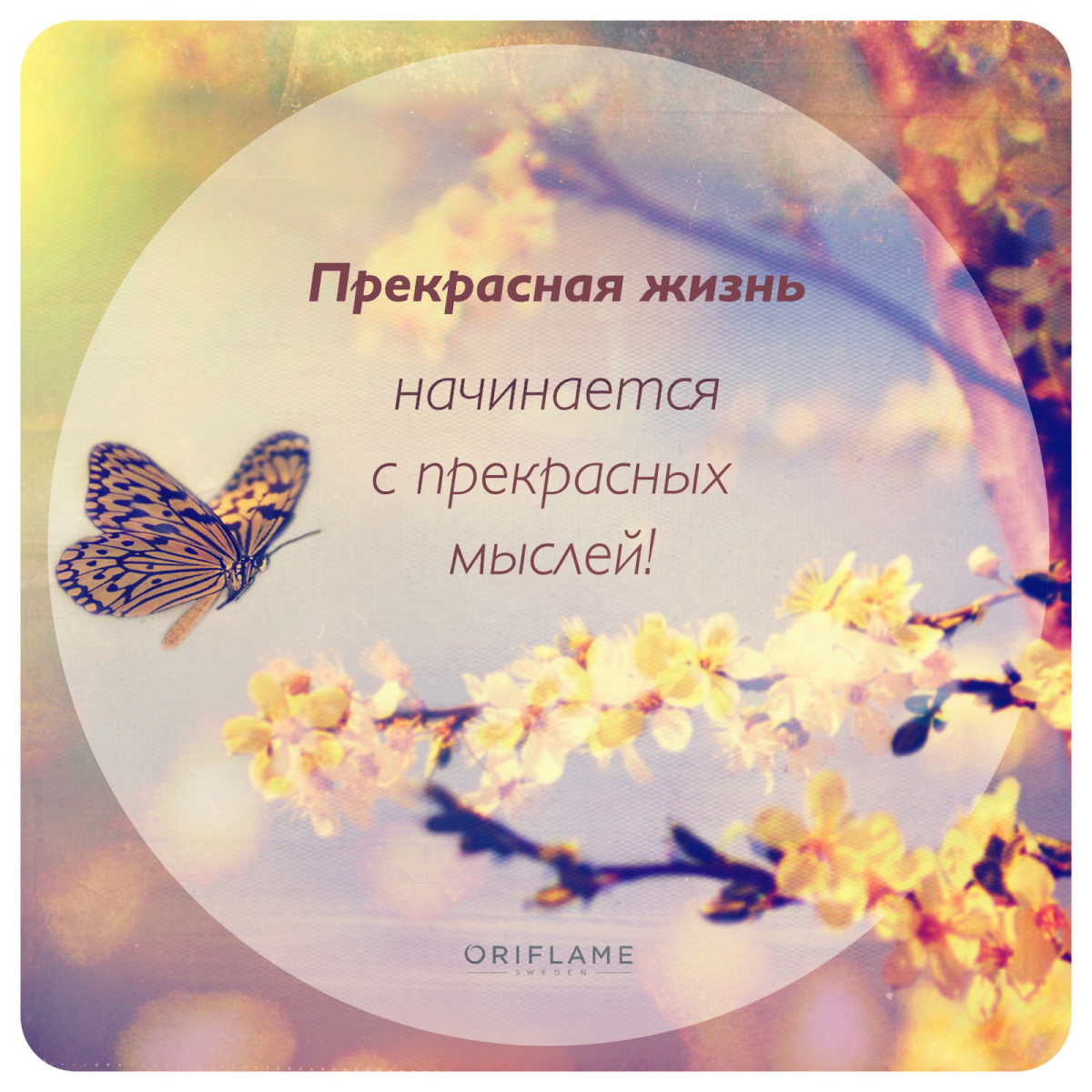 Позитивные цитаты