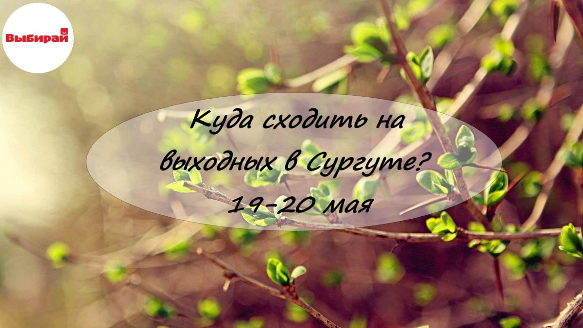 Красивые добрые высказывания