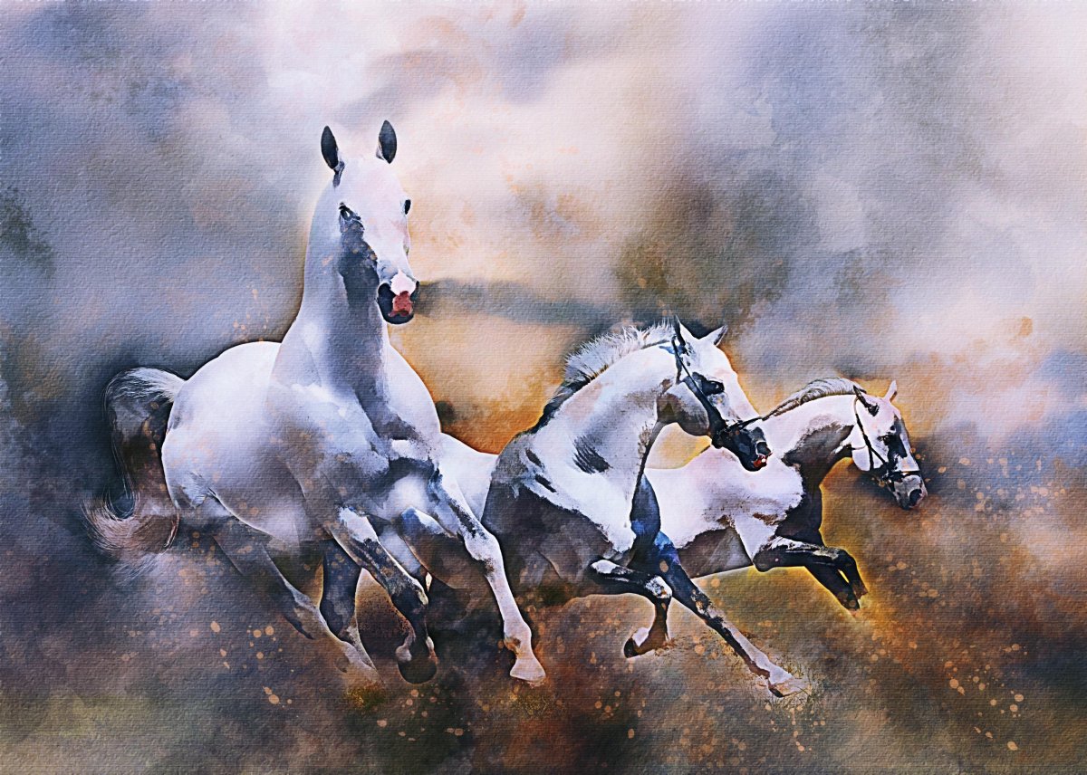 Лошадь бежит по воде