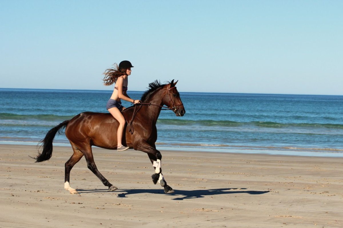 Эльвира Абдул