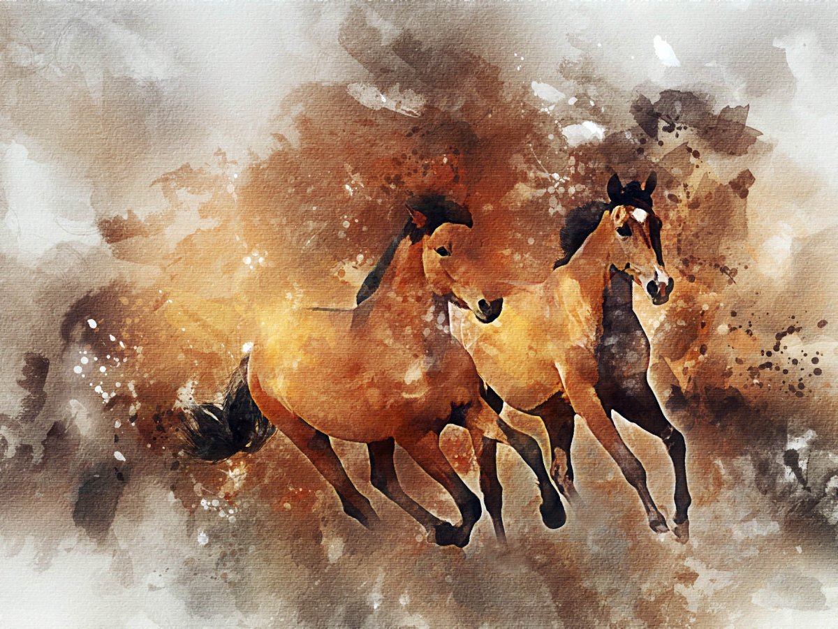 Две лошади в поле