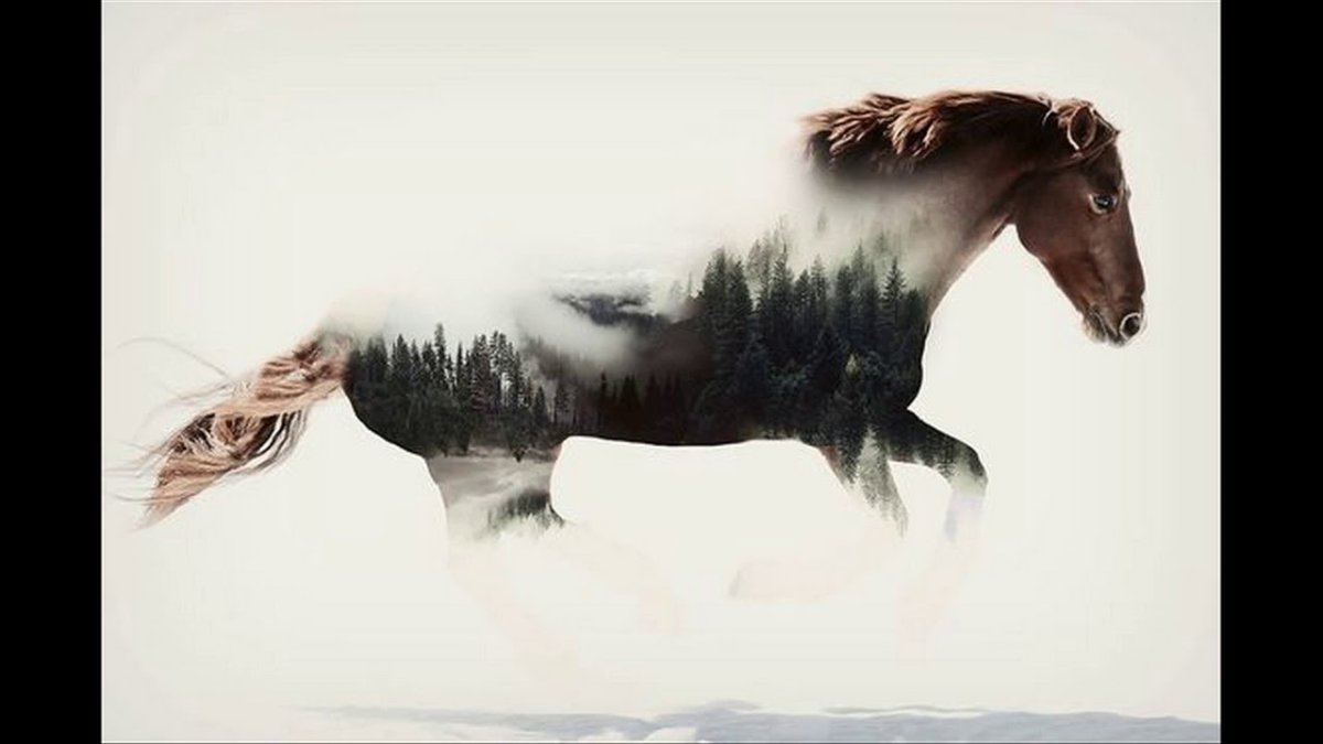 Мчащийся табун лошадей