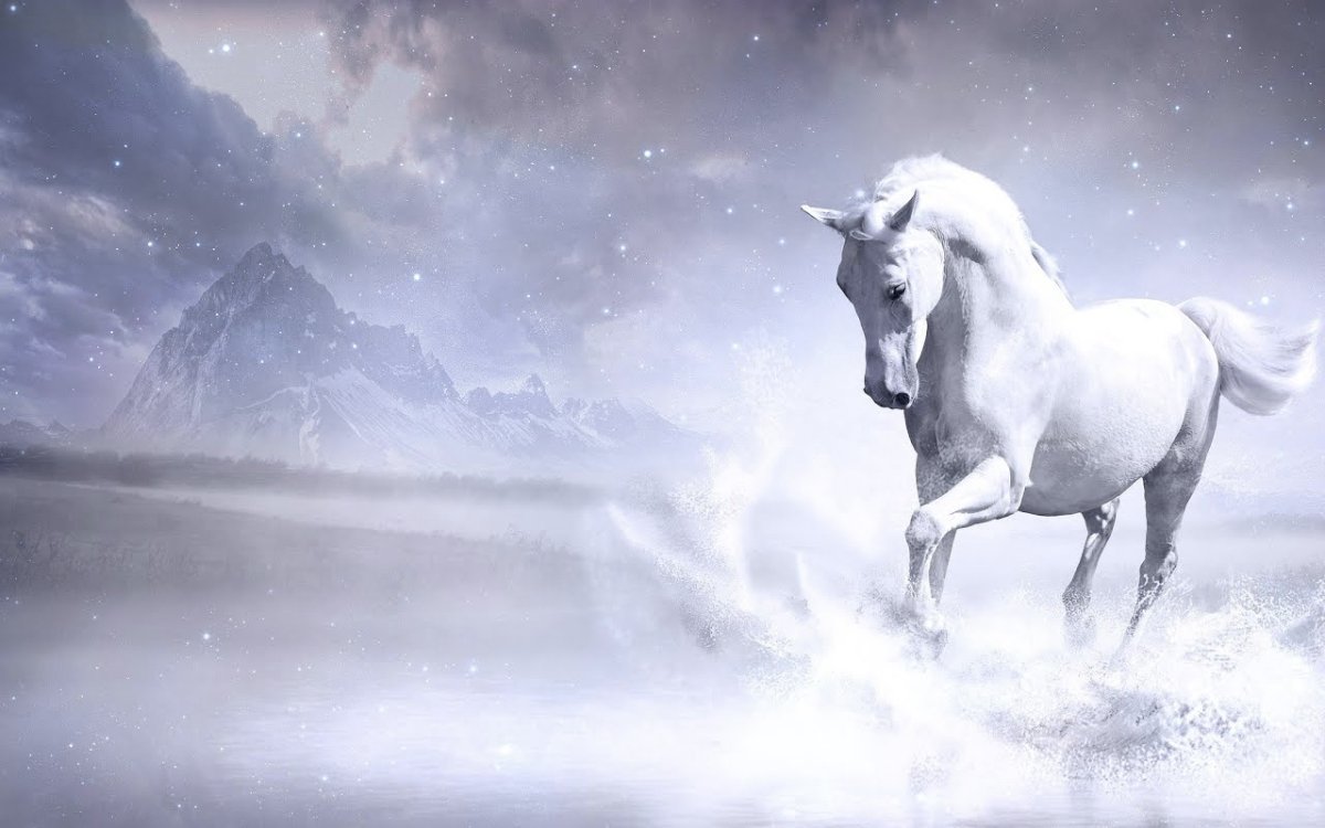 Отель в Турции лошади бегут по воде