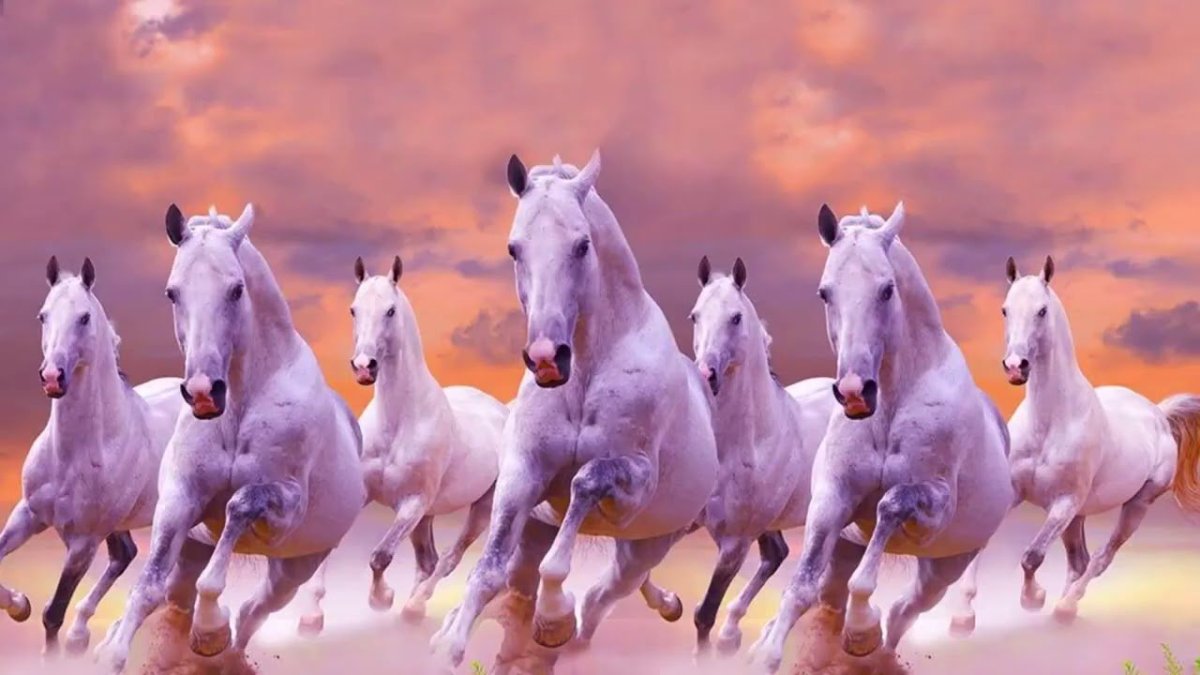 Лошади Камарга Франция