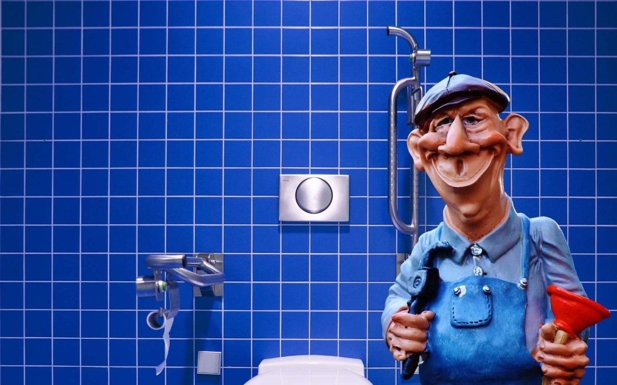 Веселый сантехник