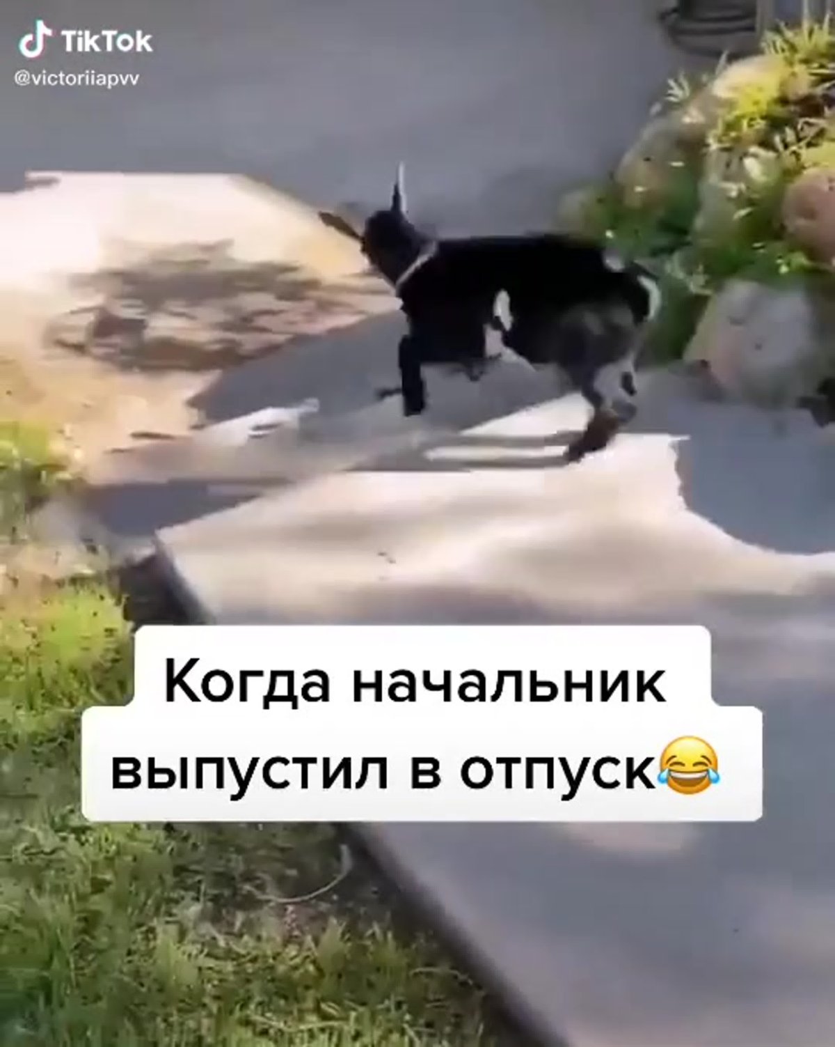 Когда начальник не отпускает в отпуск