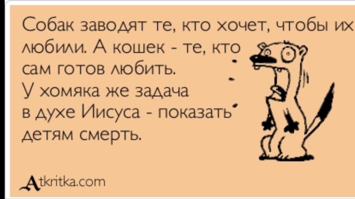 Анекдоты про измену