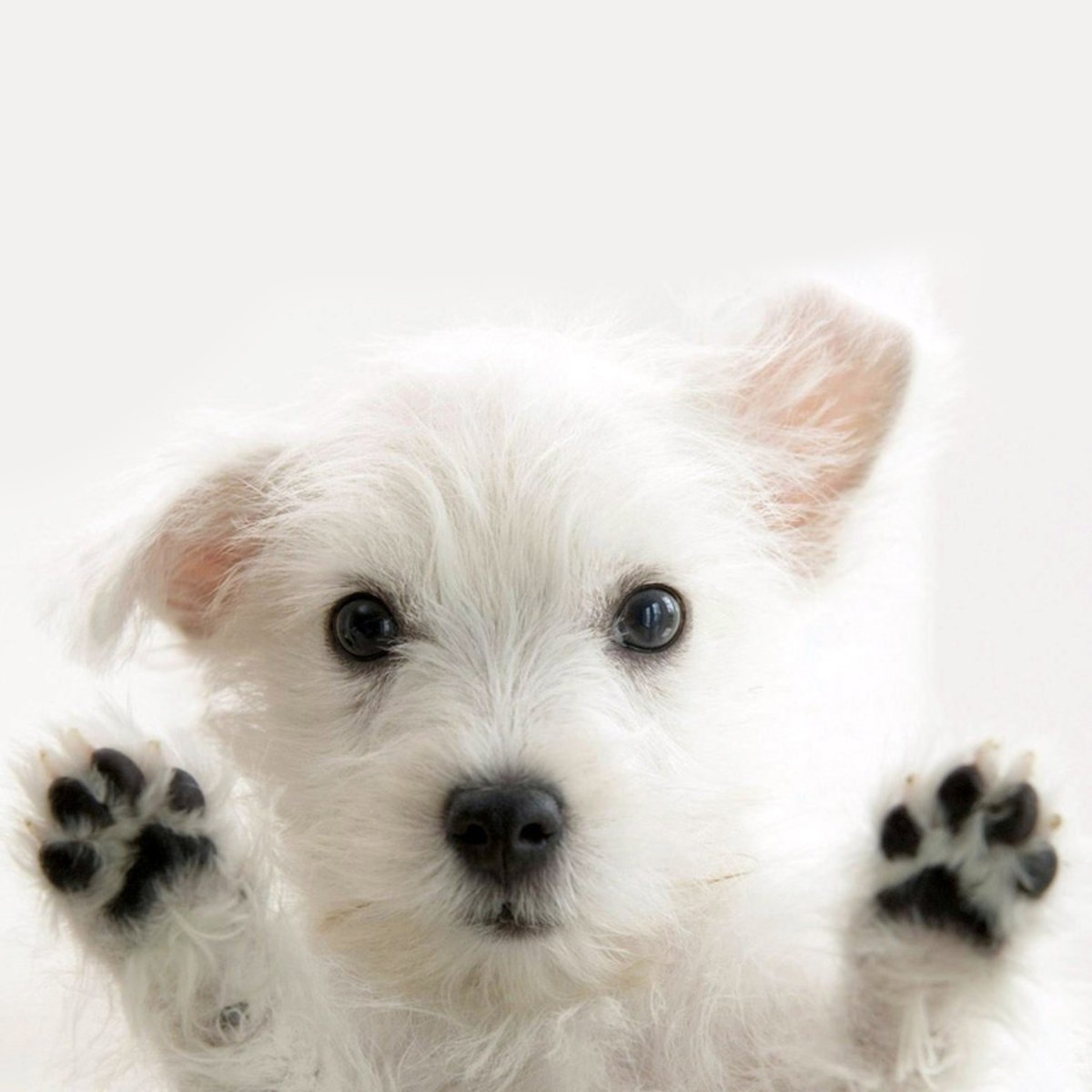 Я очень хочу домой