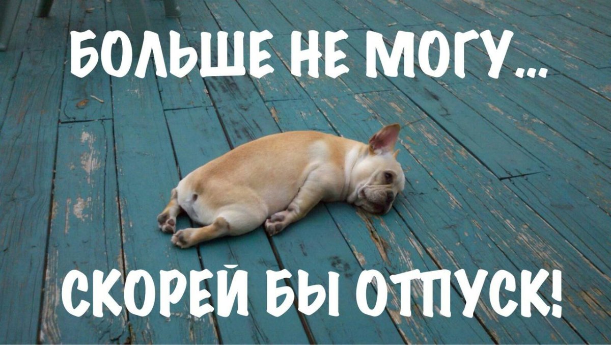 Домой домой отпуск закончился