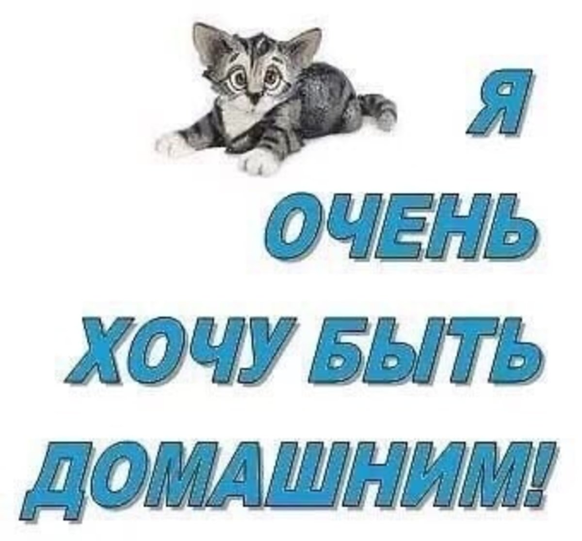 Прости цитаты