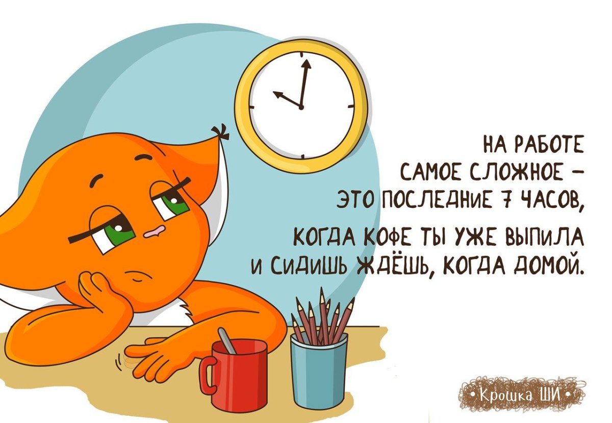 Эльчин Сафарли сладкая соль Босфора