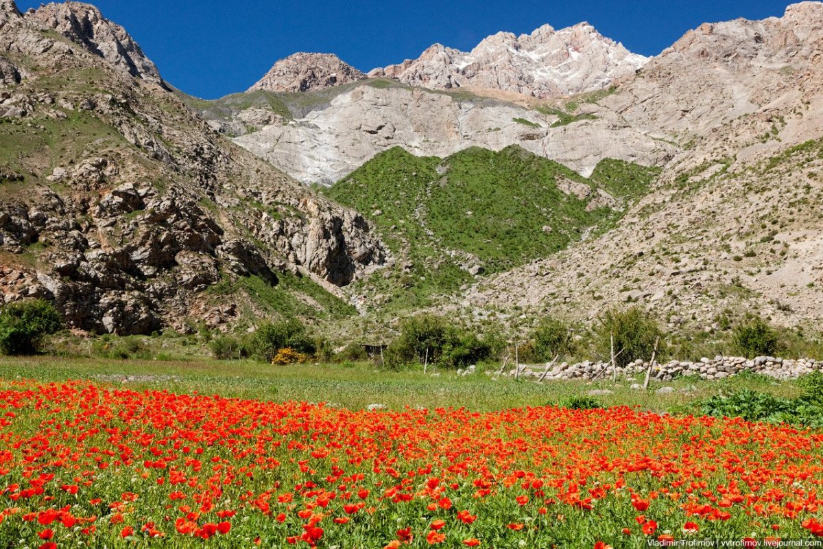 Фанские горы Таджикистан кишлак