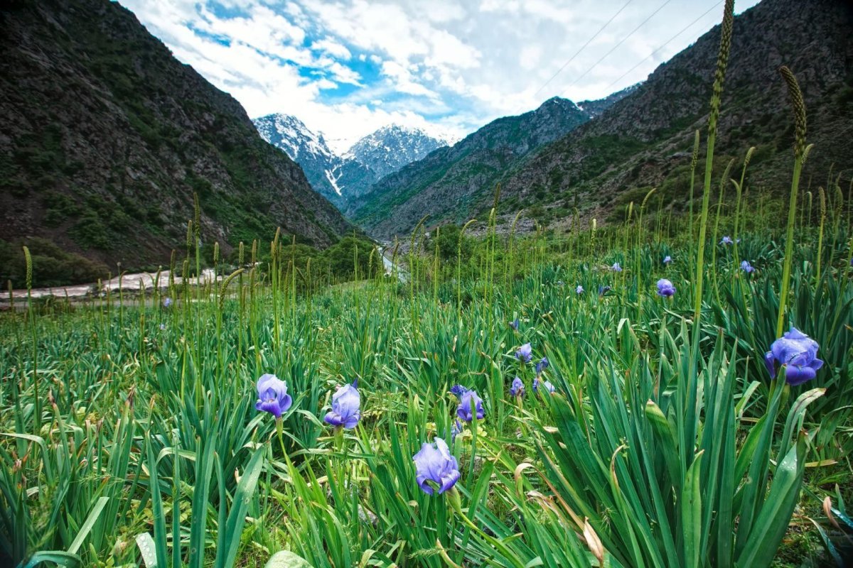 Таджикистан Весна в горах