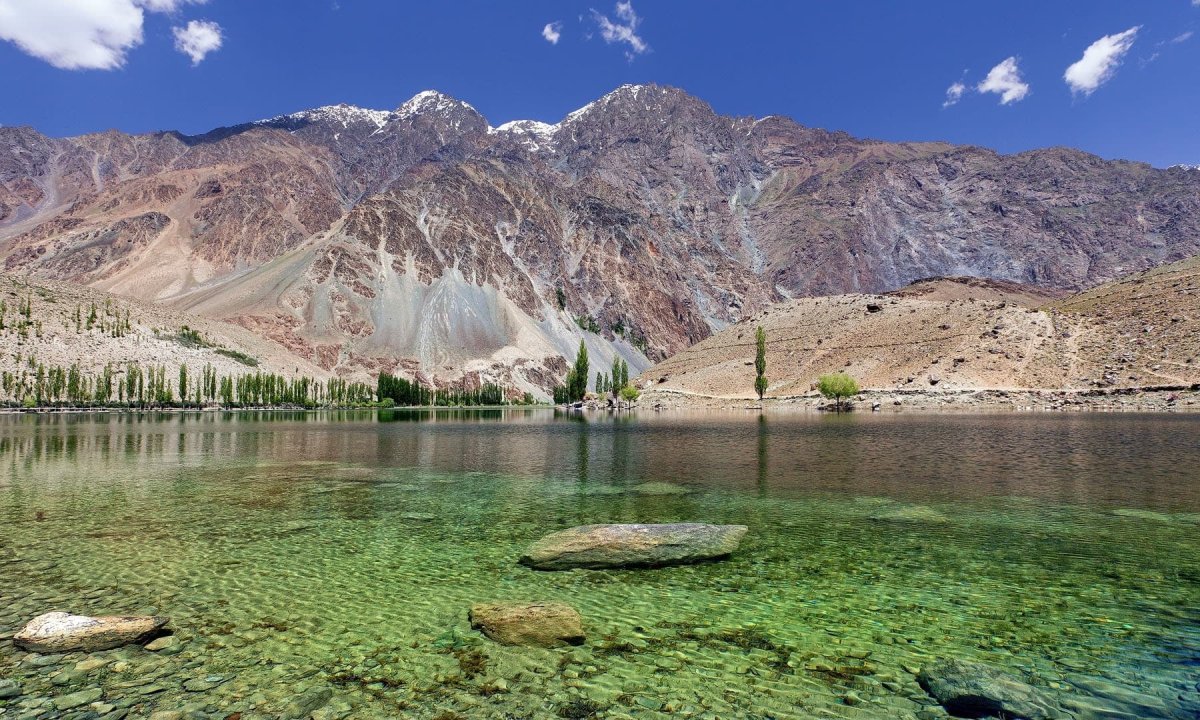 Цветы гор Варзоба Таджикистана