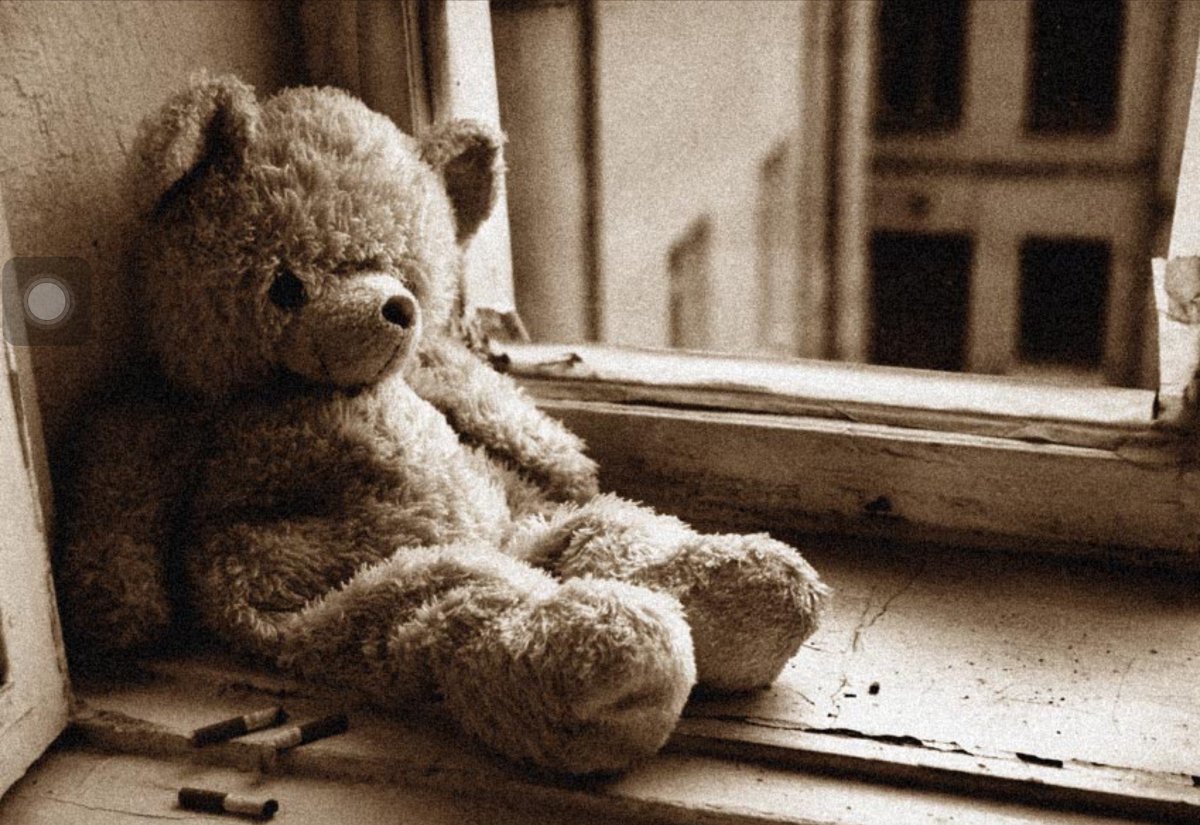 Милые мишки Тедди