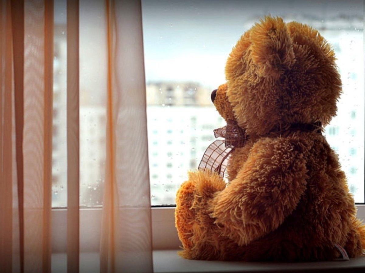 Мишка обиделся