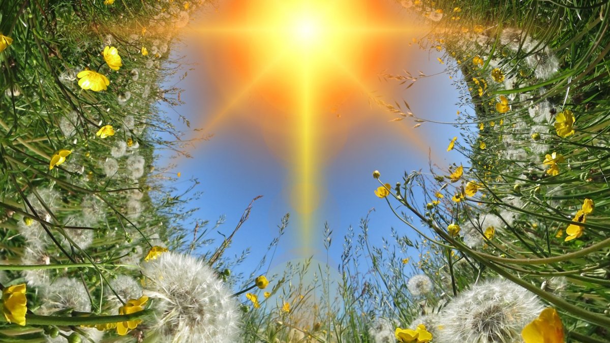 Солнца мира и добра