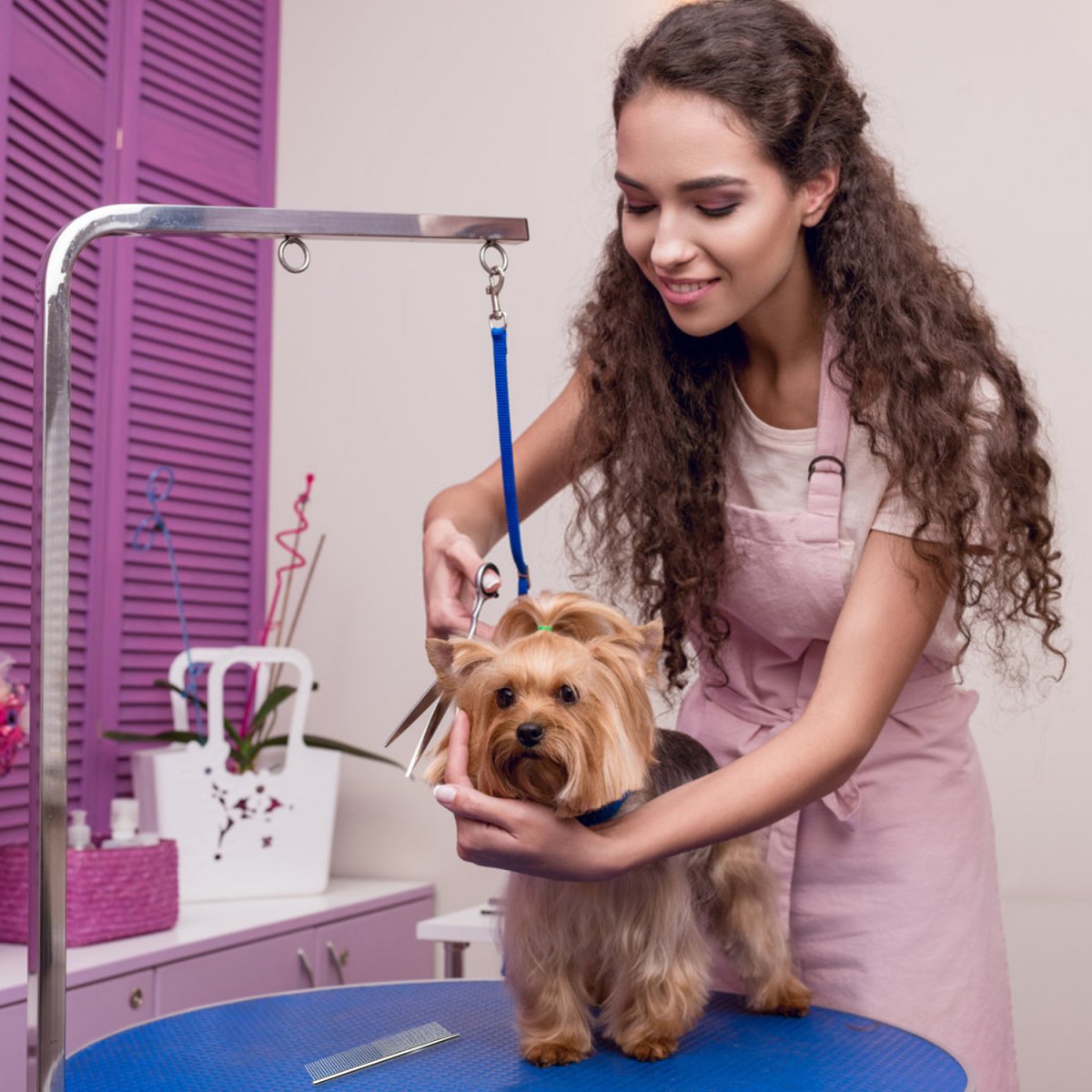 Спа для животных