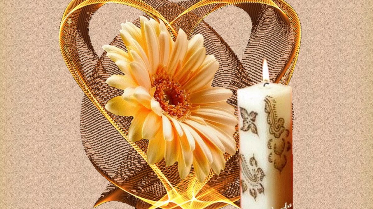 Волшебный вечер