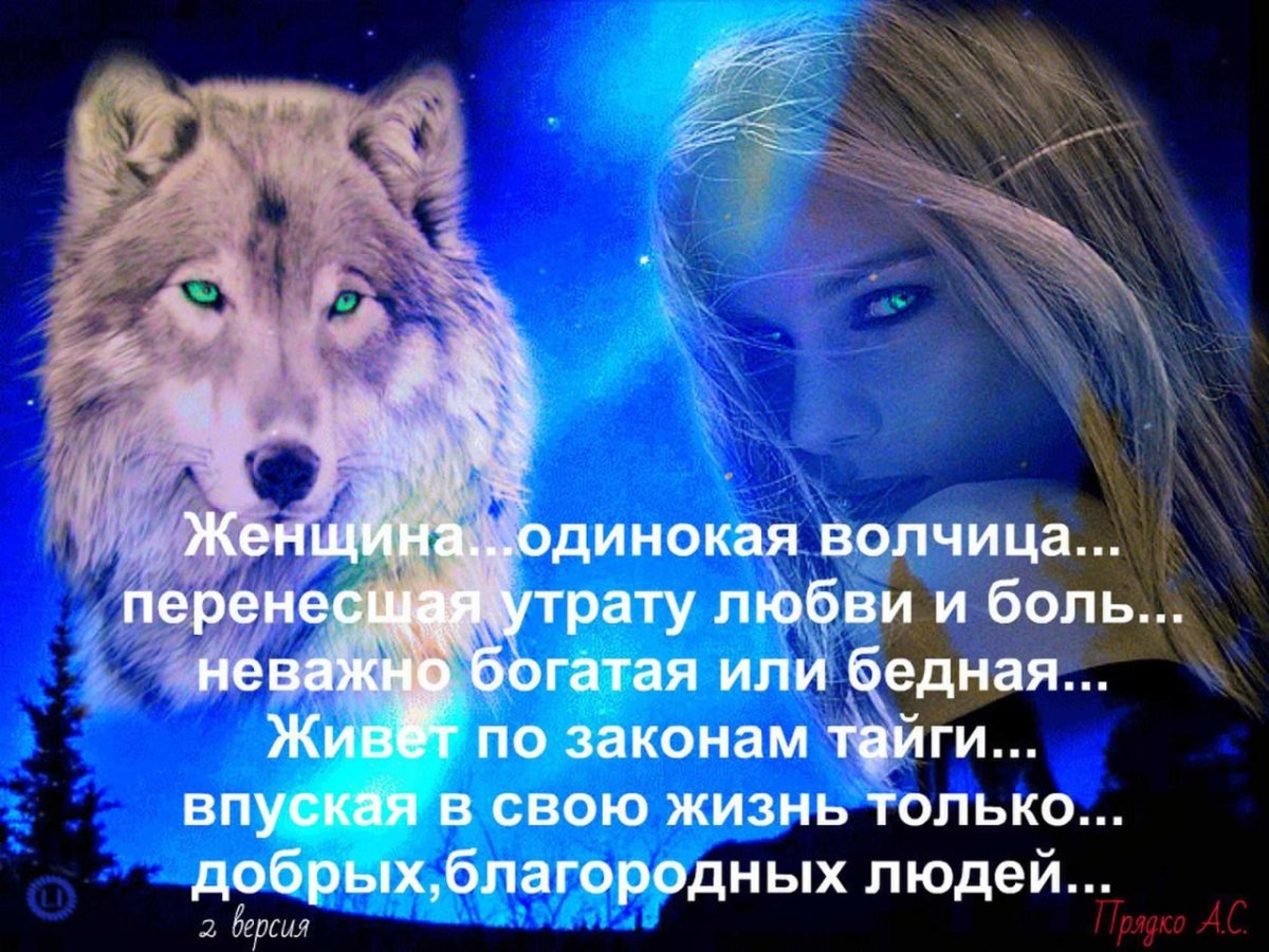 Одинокая волчица читать. Одинокая волчица. Одинокая волчица картинки. Одинокая волчица картинки со смыслом. Волчица одиночка.