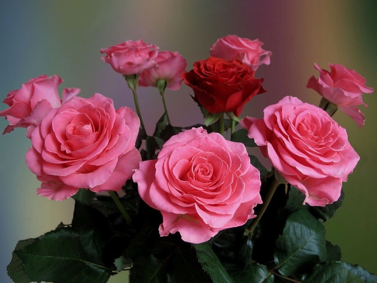 Цветы для Раисы