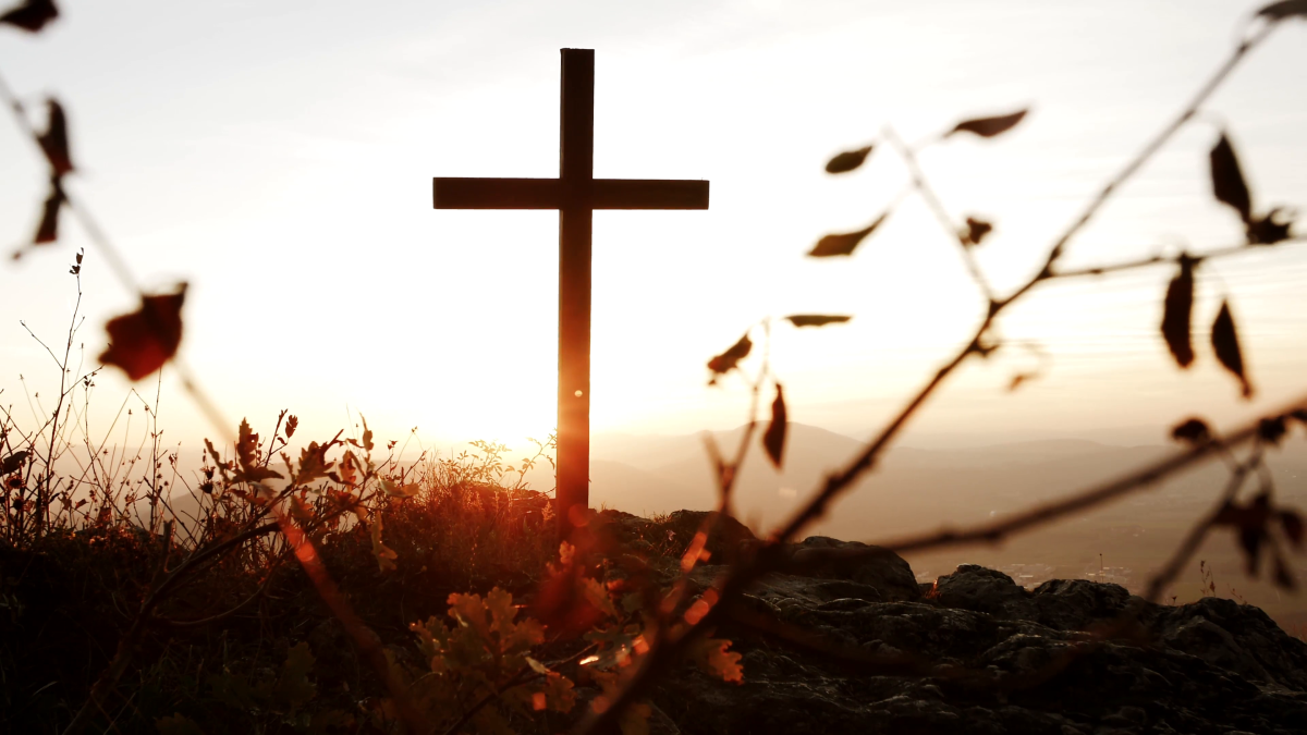 Крест природа