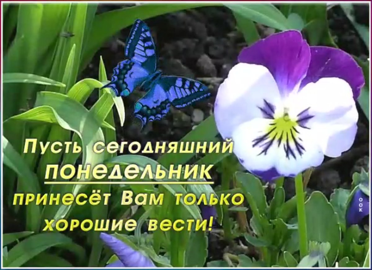 Последний понедельник лета