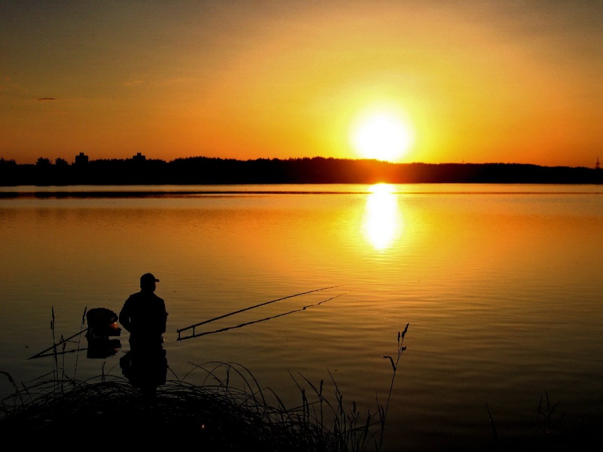 Доброе утро рыбаки