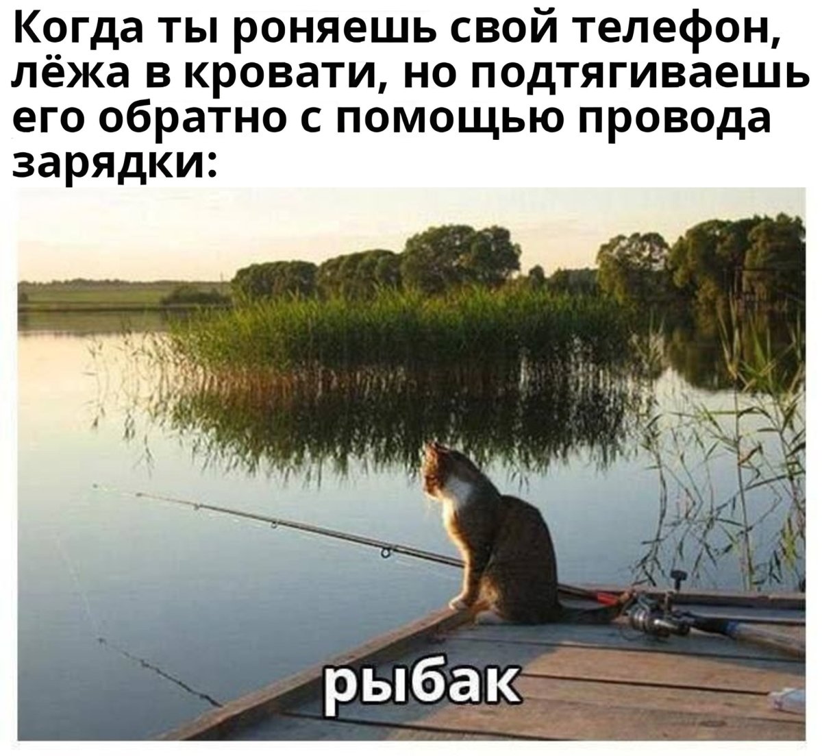 Открытки с рыбками