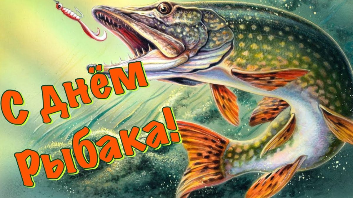 Приколы на рыбалке