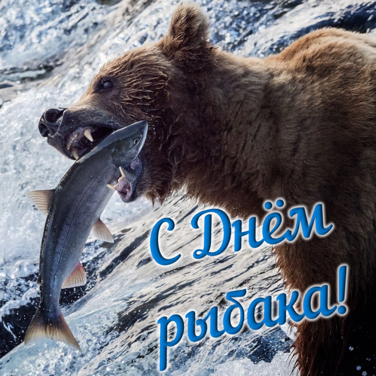 Кот на рыбалке с удочкой