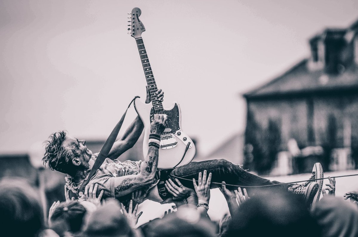 Животные с гитарой