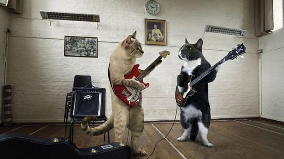 Нарисованная девушка с укулеле