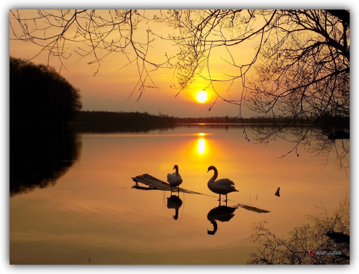 Добрый вечер природа