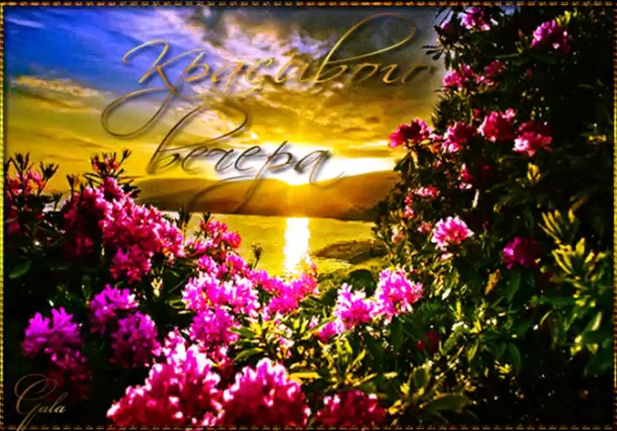 Доброго летнего вечера