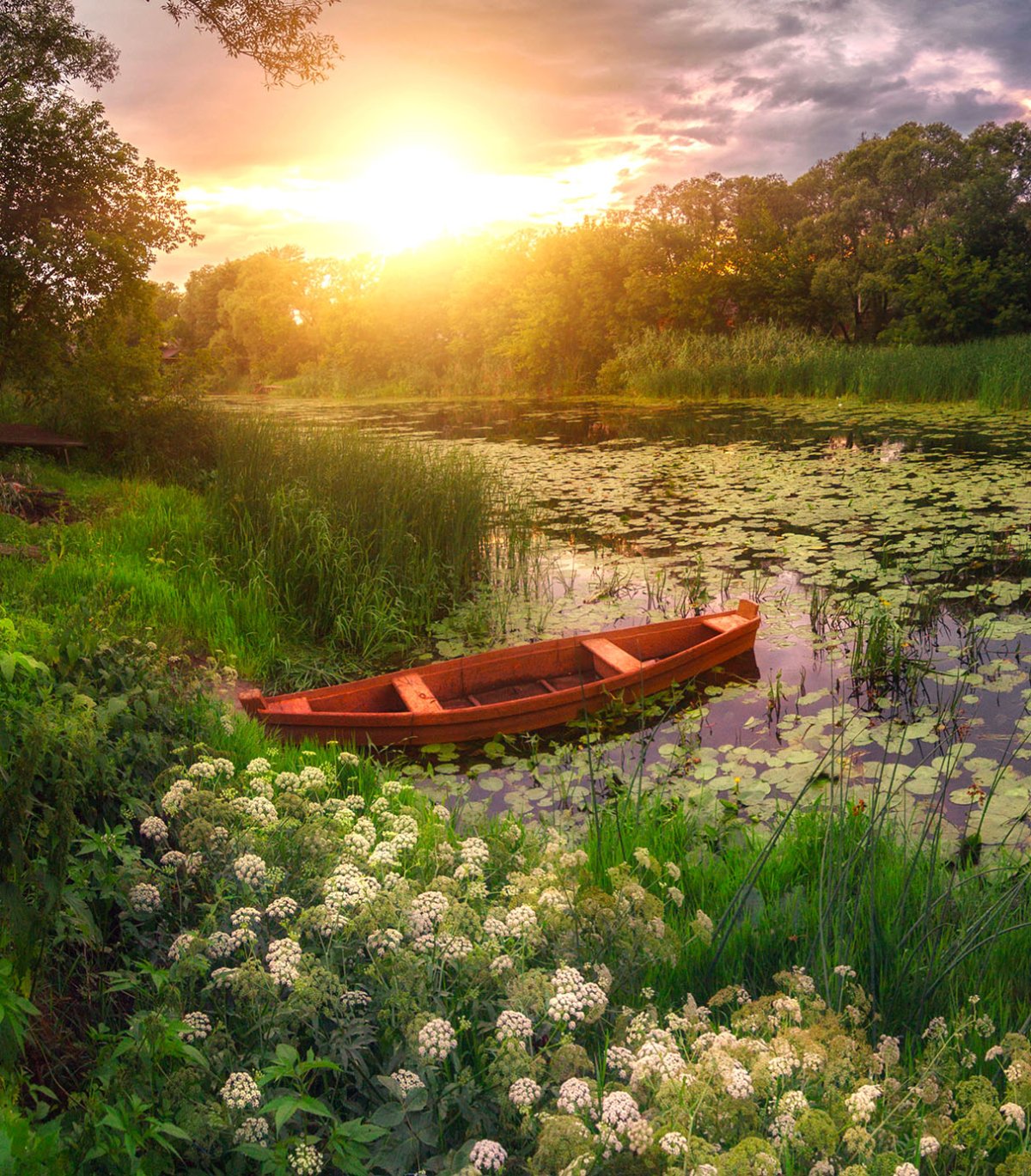 Утренний пейзаж