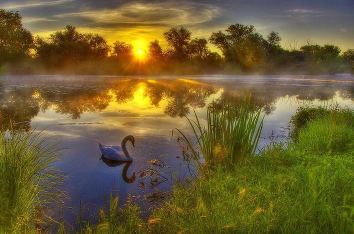 Добрый вечер на природе летом