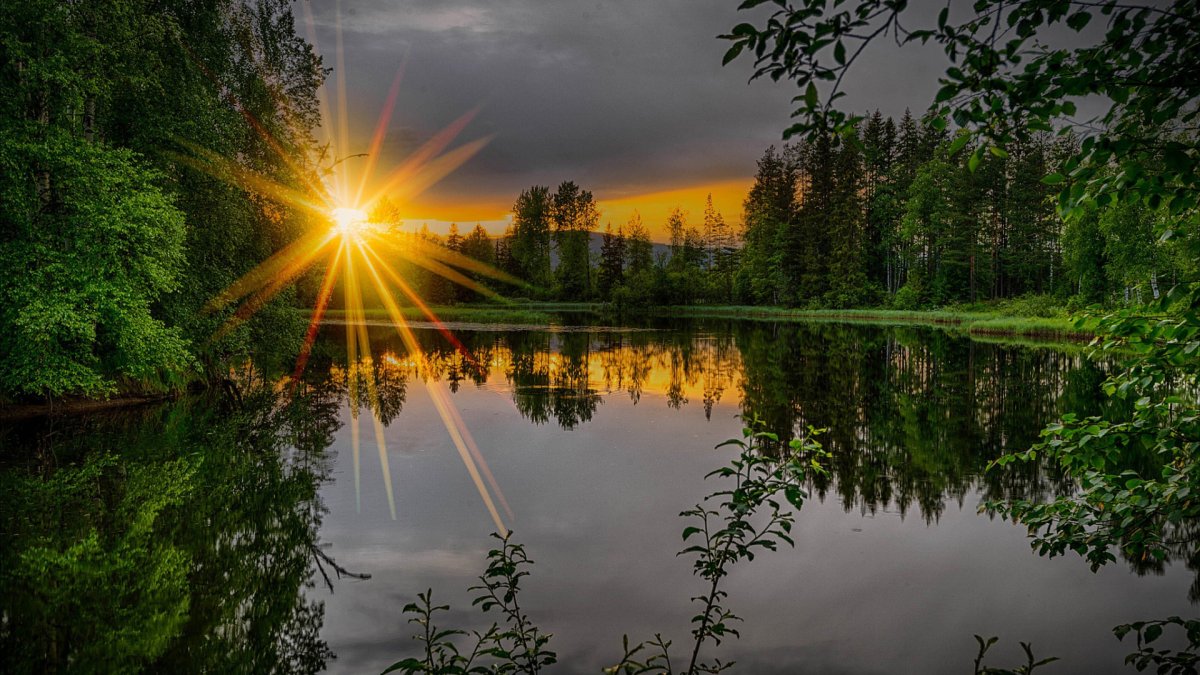 Лес озеро солнце