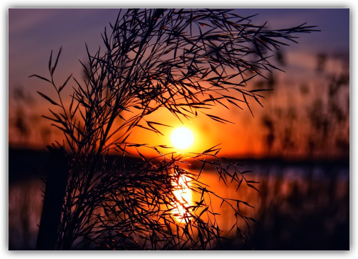 Теплой весенней ночи