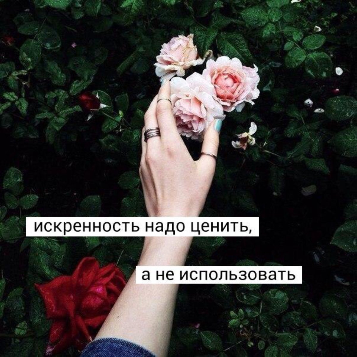 Цветок на руку.