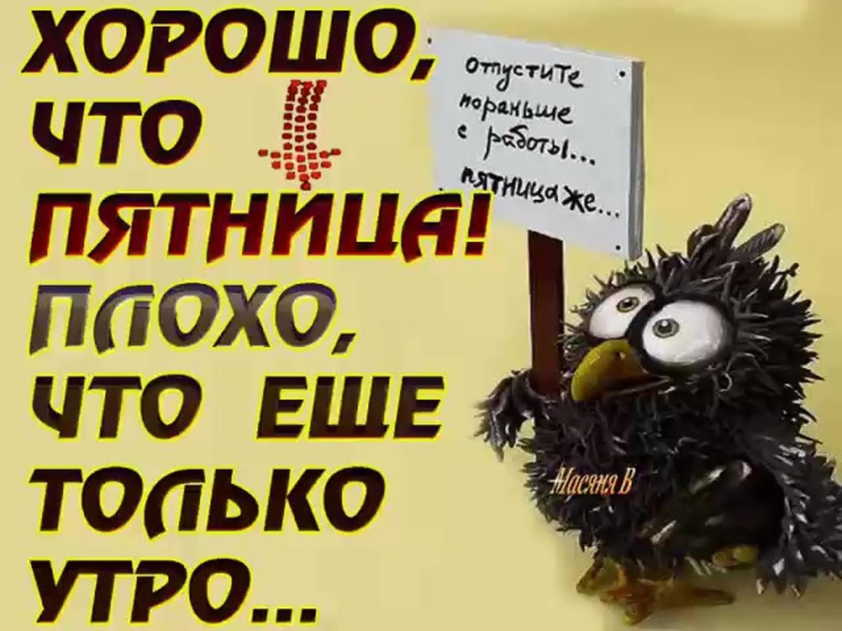 Пятница приколы