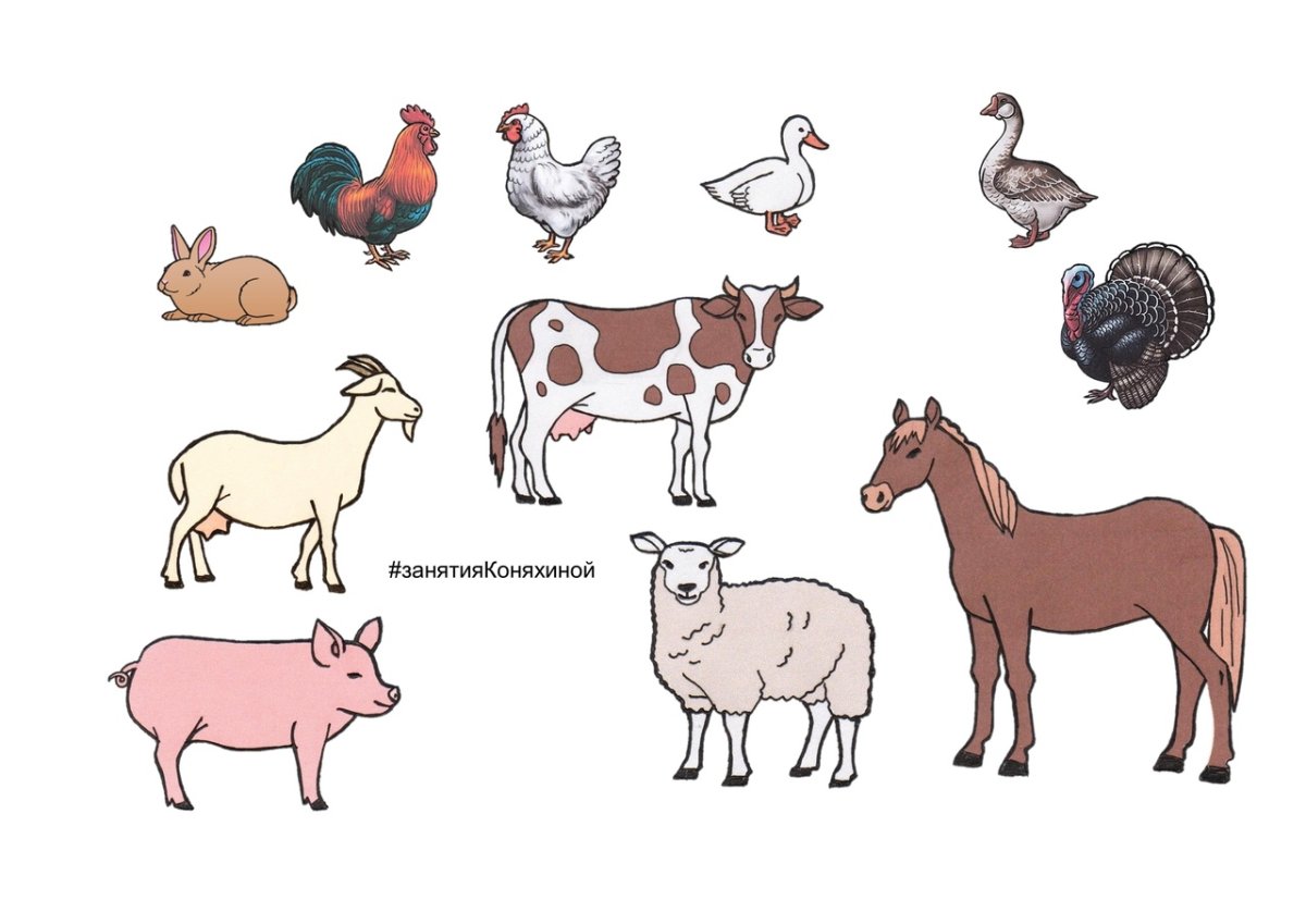 #ЗАНЯТИЯКОНЯХИНОЙ почему потому что