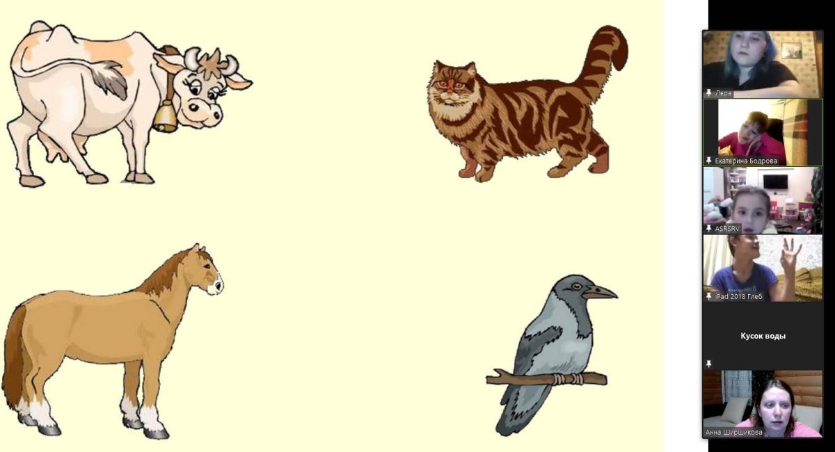 4 Лишний животные