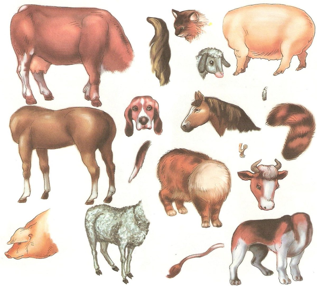 Игра чей хвост домашние животные