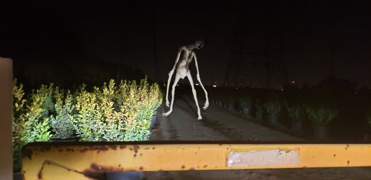 Тревор Хендерсон страшные