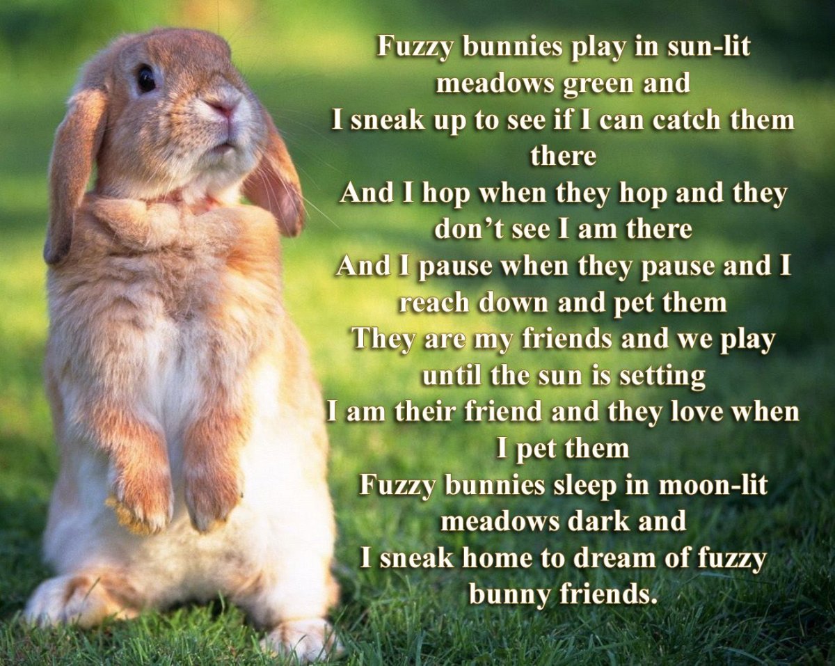 Зайчик на задних лапах