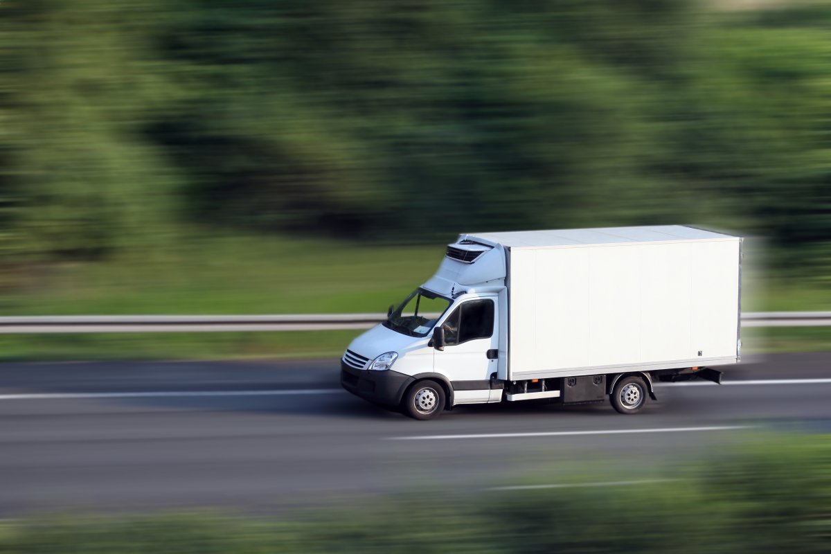 Газель на дороге