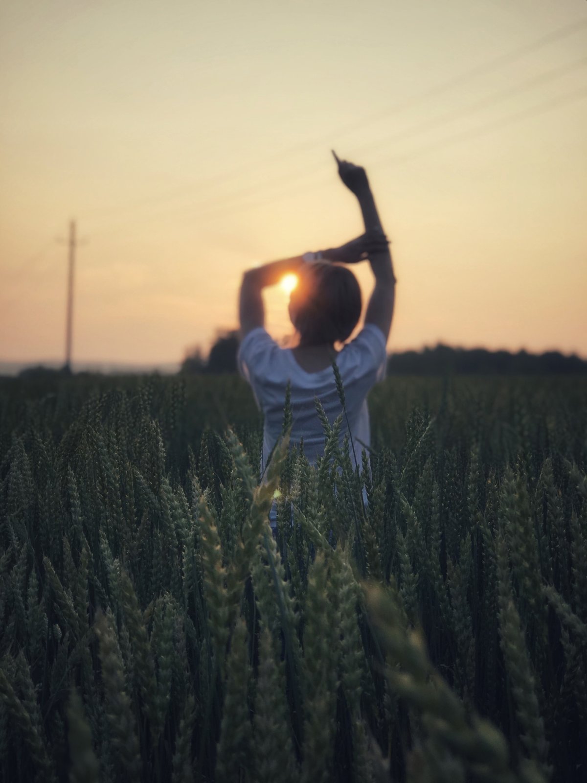 Надежда моод модель