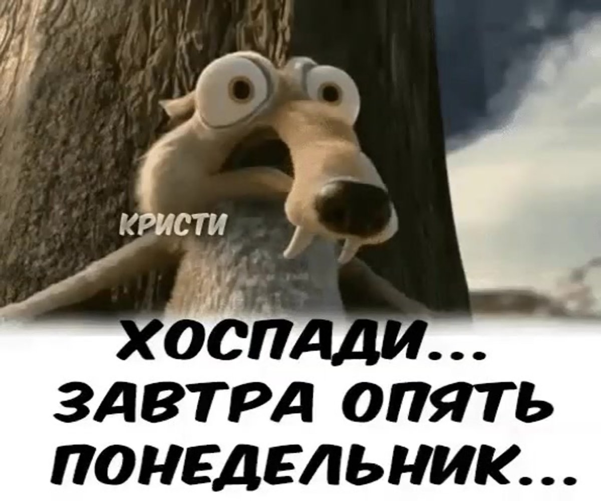 Глупые демотиваторы